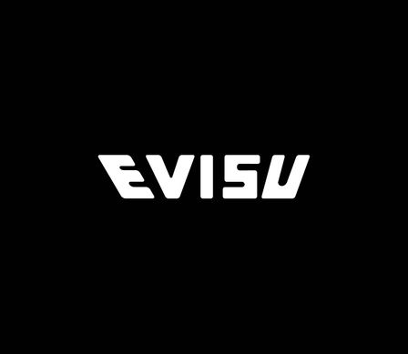 Evisu_logo_type_white_AI10